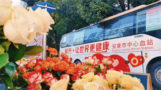 安康這三兄妹，熱血！