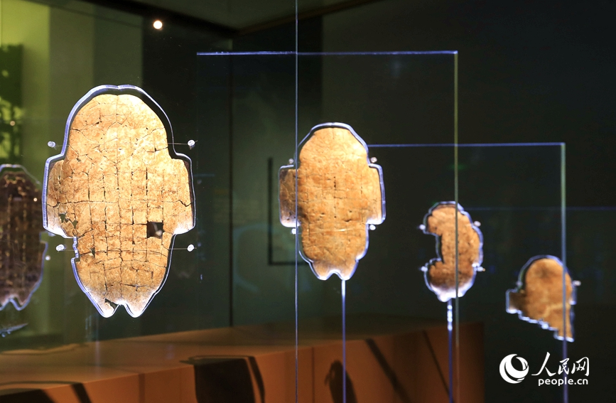 殷墟博物館展出的甲骨文。人民網(wǎng)記者 慎志遠(yuǎn) 攝